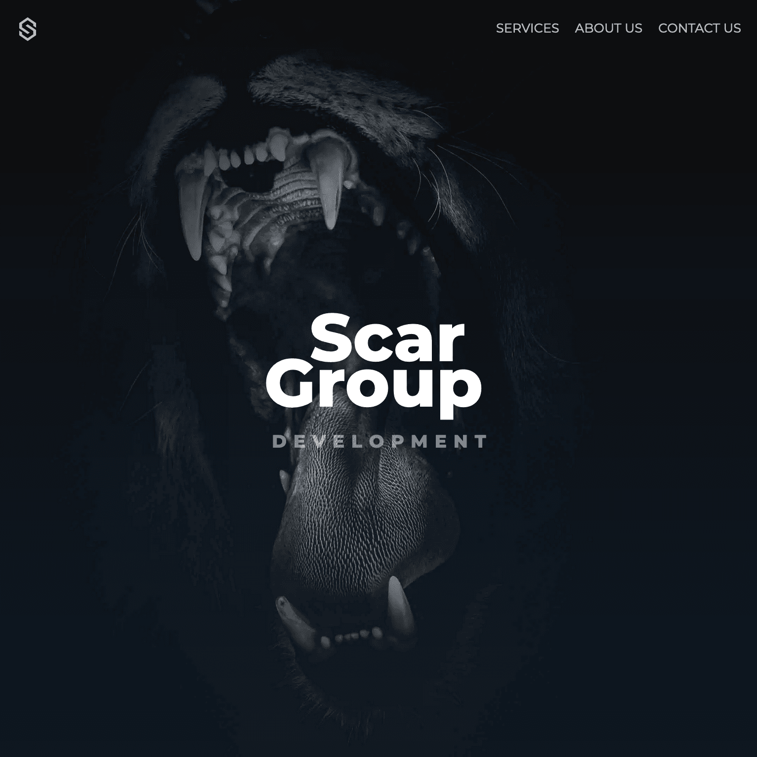 Scar Group Development